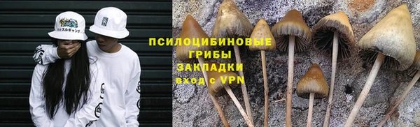 таблы Каменка