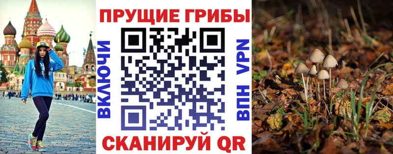 Галлюциногенные грибы Psilocybe Ленск